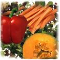 This is a picture of vegetables (a source of Vitamin A) The vegetables included are red peppers, carrots, and a type of squash