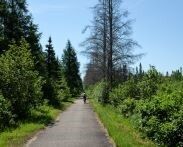 Upper Midwest (WI & MN) Trails