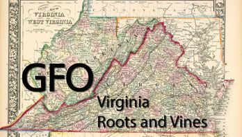 Virginia Roots and Vines