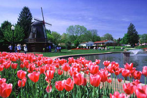 Judy's Leisure Tours
