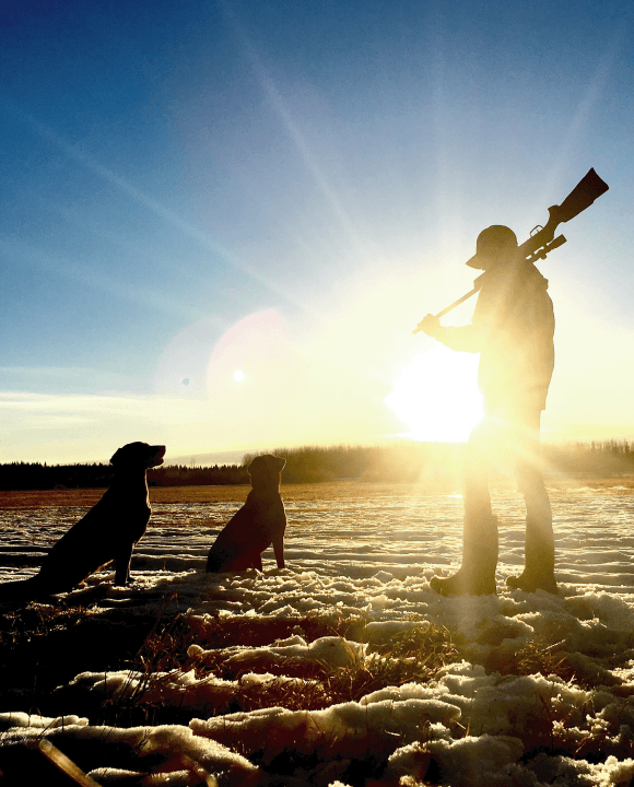 Looking Out for Your Service Dog During Game Hunting Season