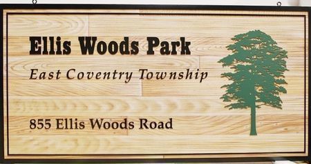 M1895 - Faux Wood Grain HDU Sign for Ellis Woods Park,  with Multiple Plank Patterns  