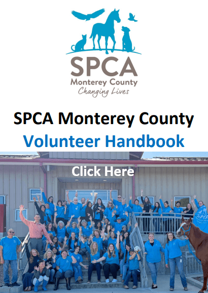 SPCA Volunteers and Staff