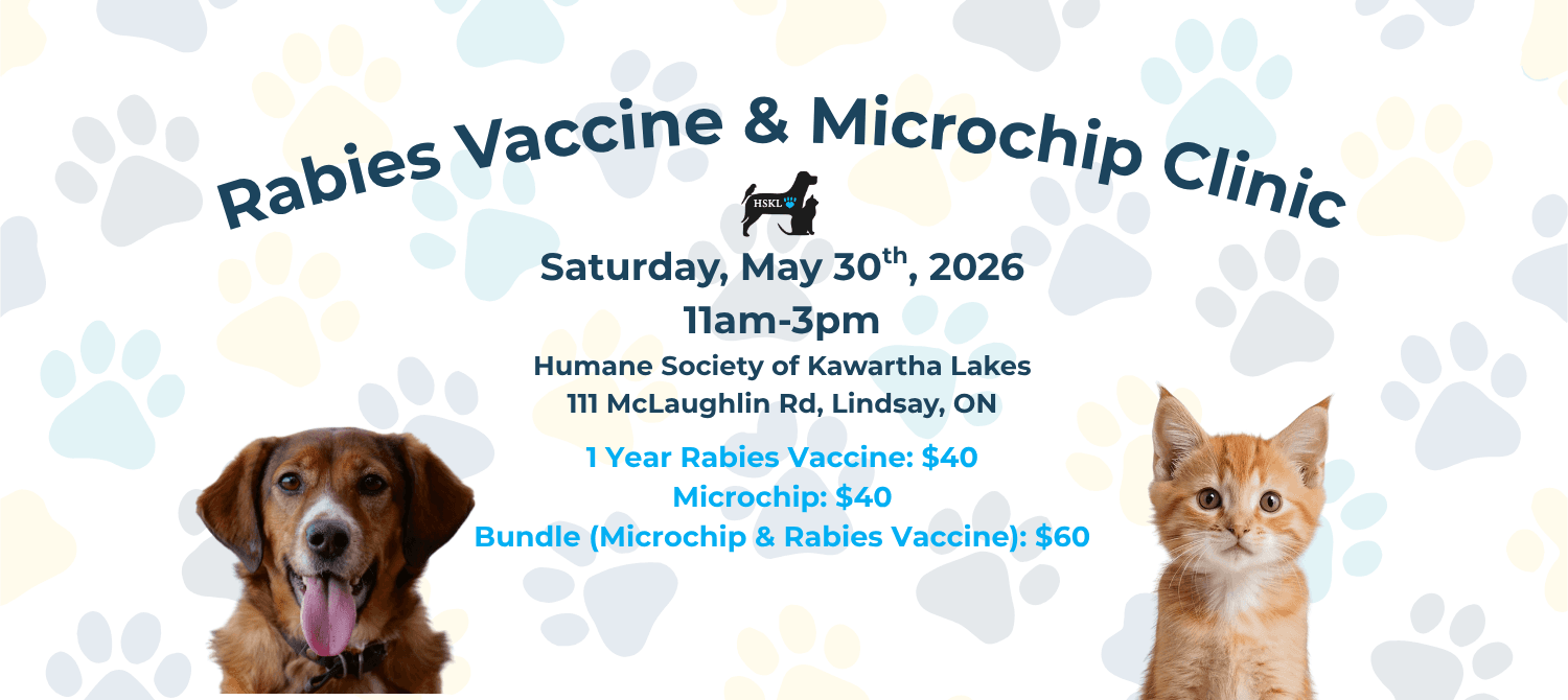 Rabies Clinic
