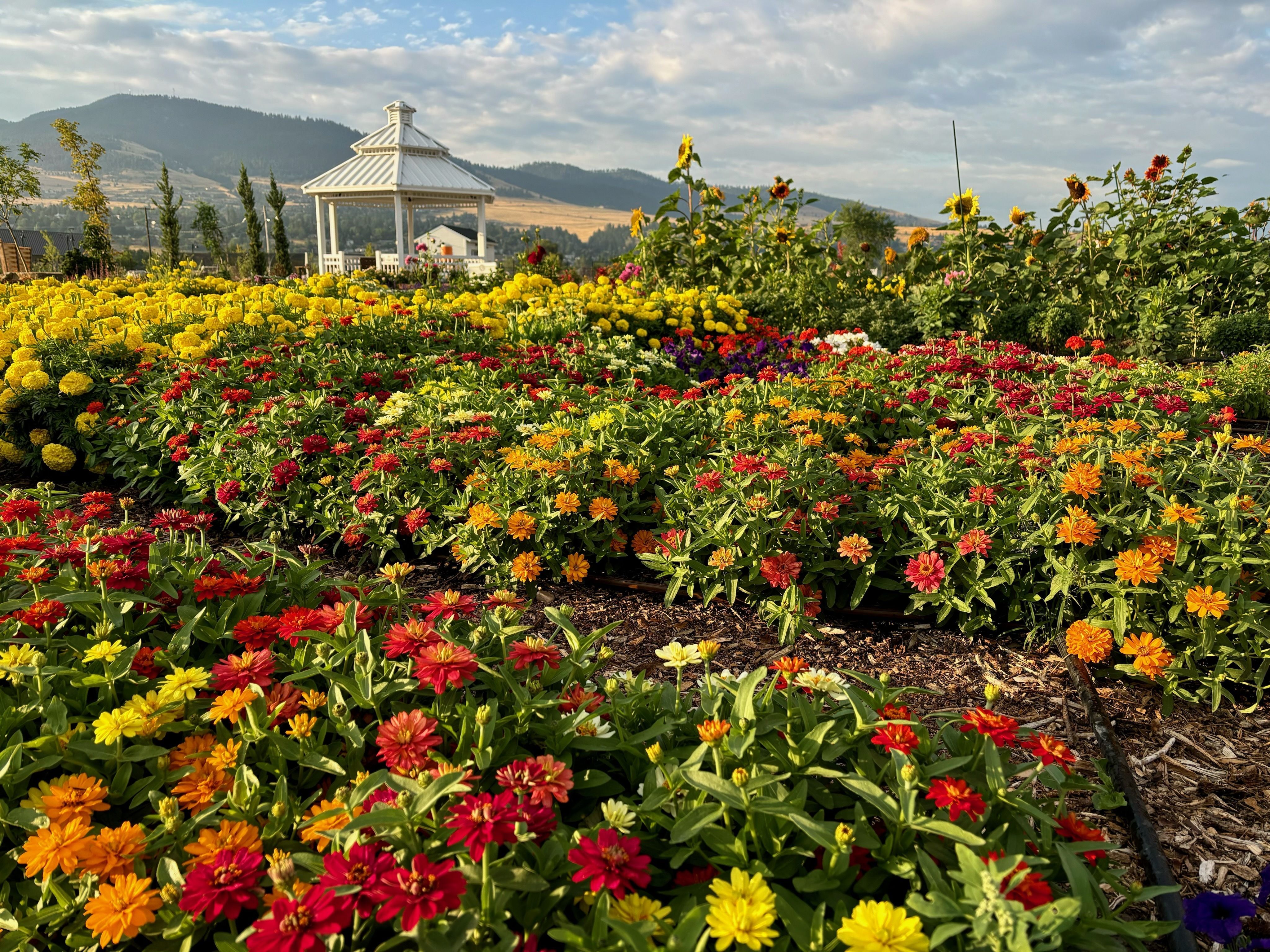Rocky Mountain Gardens