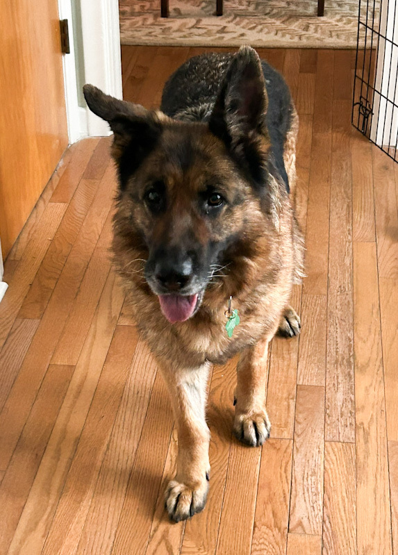 Tundra