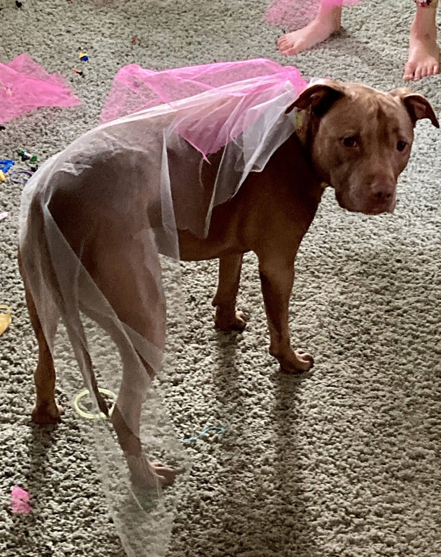 Princess Zoey!