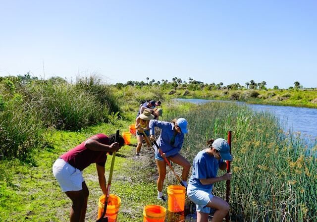 Volunteering While in School: 6 Ideas for Students