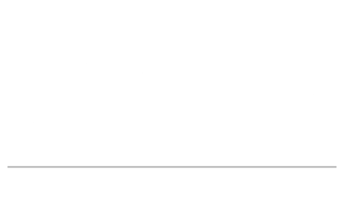 Riverdale Senior Services 