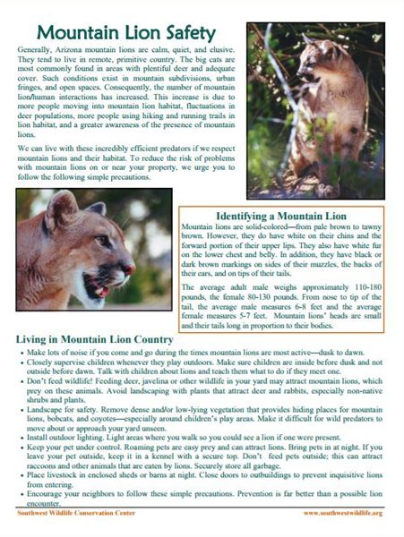 Mountain Lion Safety Sheet