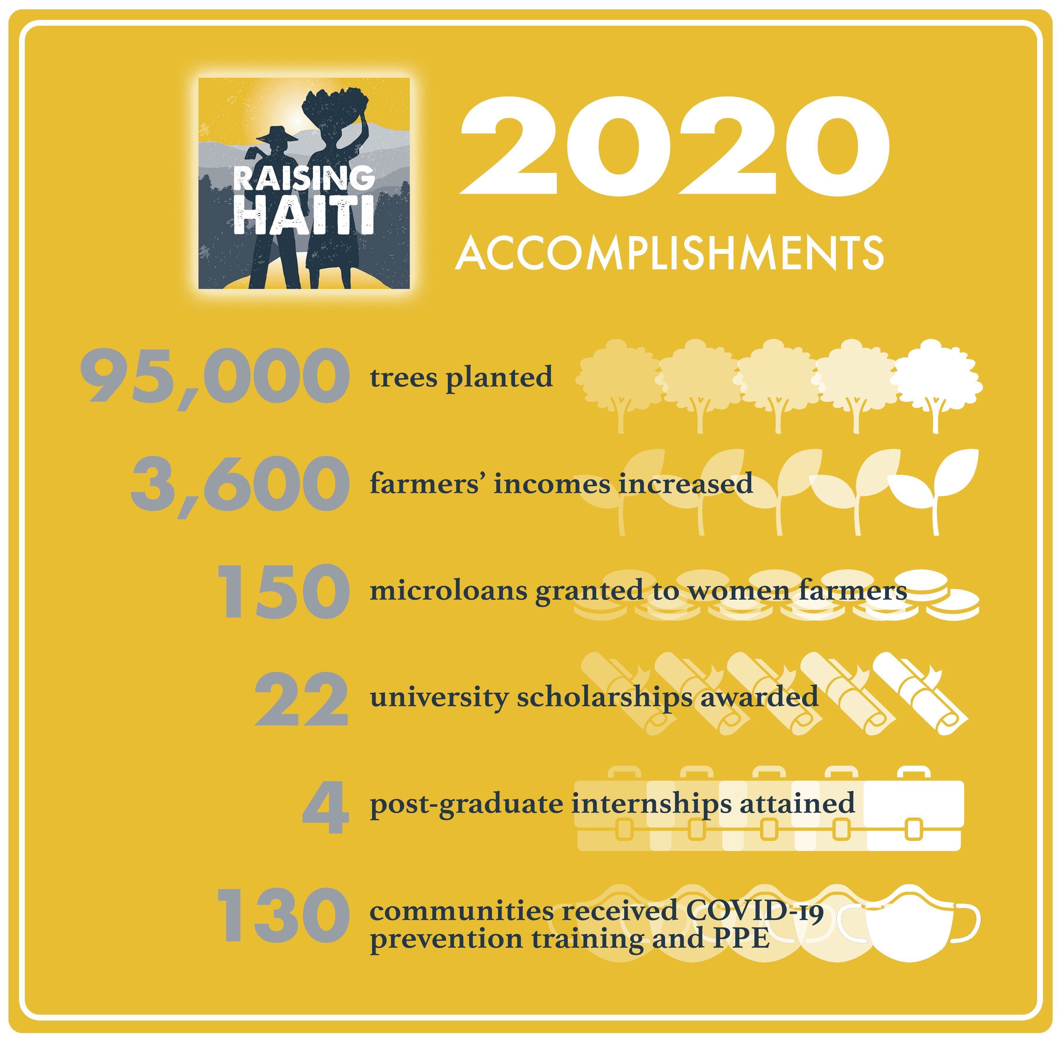 Raising Haiti Foundation 2020 Accomplishments