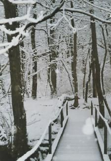 Daily Prayer January 28