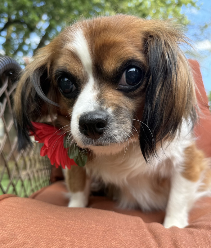 Mimi
