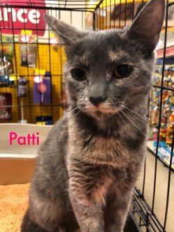 Patti