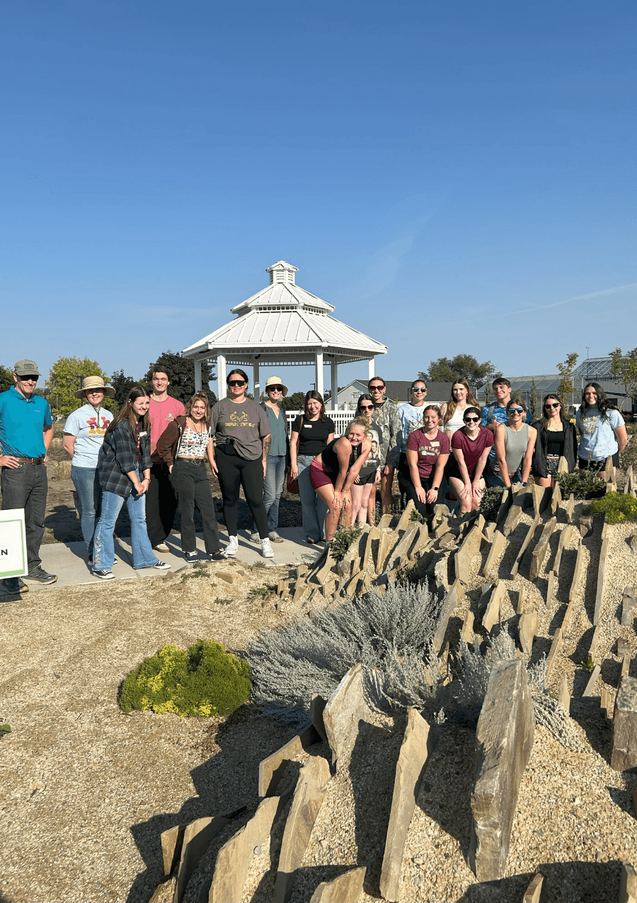 Group Volunteer Opportunities