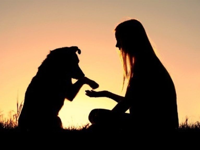 Prevention of Cruelty to Animals Month