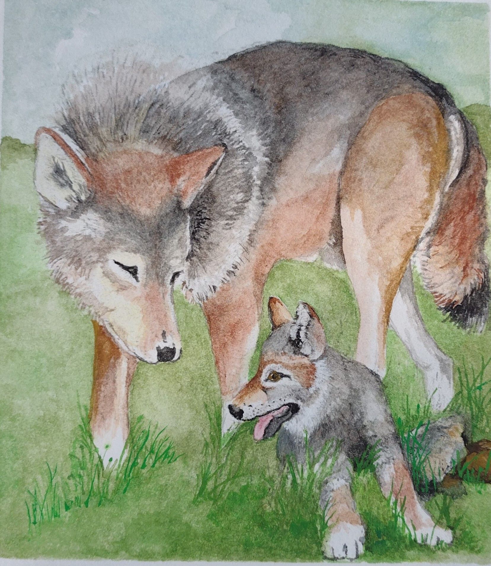 Watercolor of American Red Wolf mother and pup