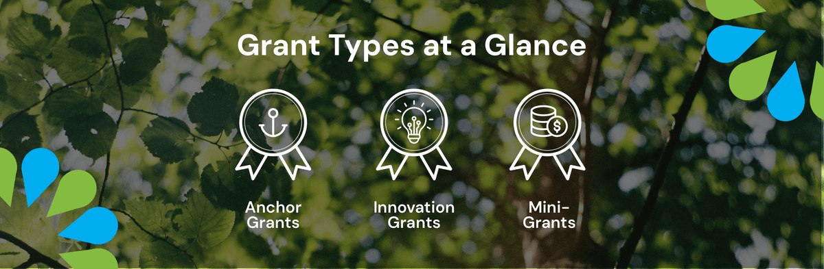 Icons that represent the 3 Grant types 