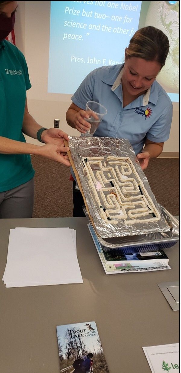 Teachers are holding board with a maze created to represent the flow of water in a water system