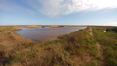 Horseshoe Marsh Nature Trail