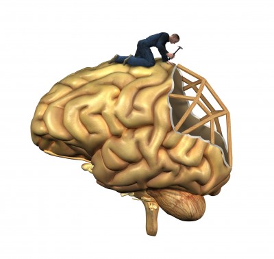 Brain Recovery Following Alcohol Use Disorders