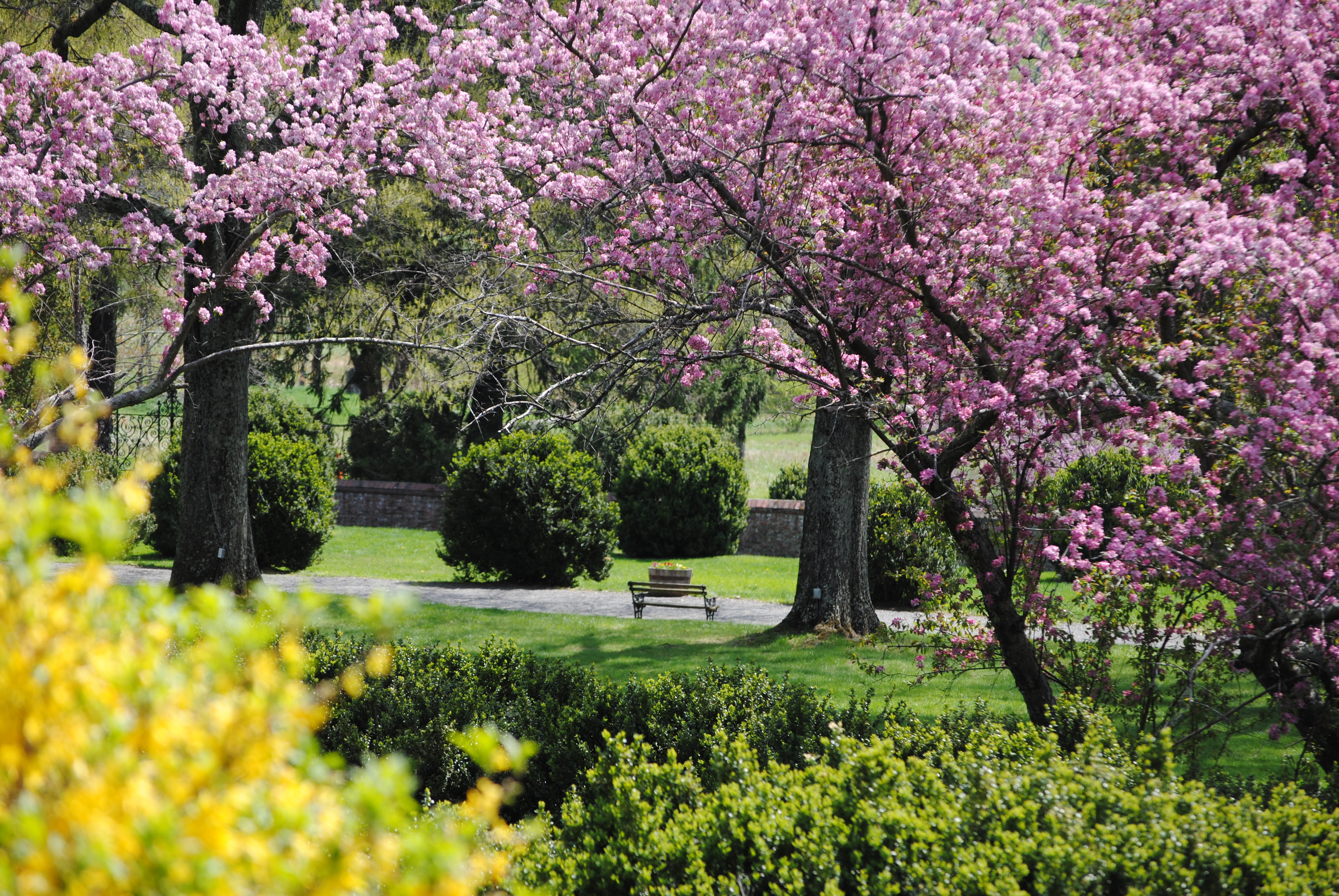 Planting, weeding, pruning – it takes a lot to keep Marguerite Davis's formal gardens looking their best! Your $25 donation will will help fund the ongoing care of this historic landscape.