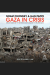 Gaza in Crisis: Reflections on Israel’s War Against the Palestinians