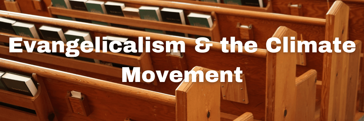 light brown wood pews with bibles and hymnals on the backs of pews