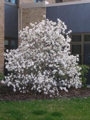 Daily Prayer April 6