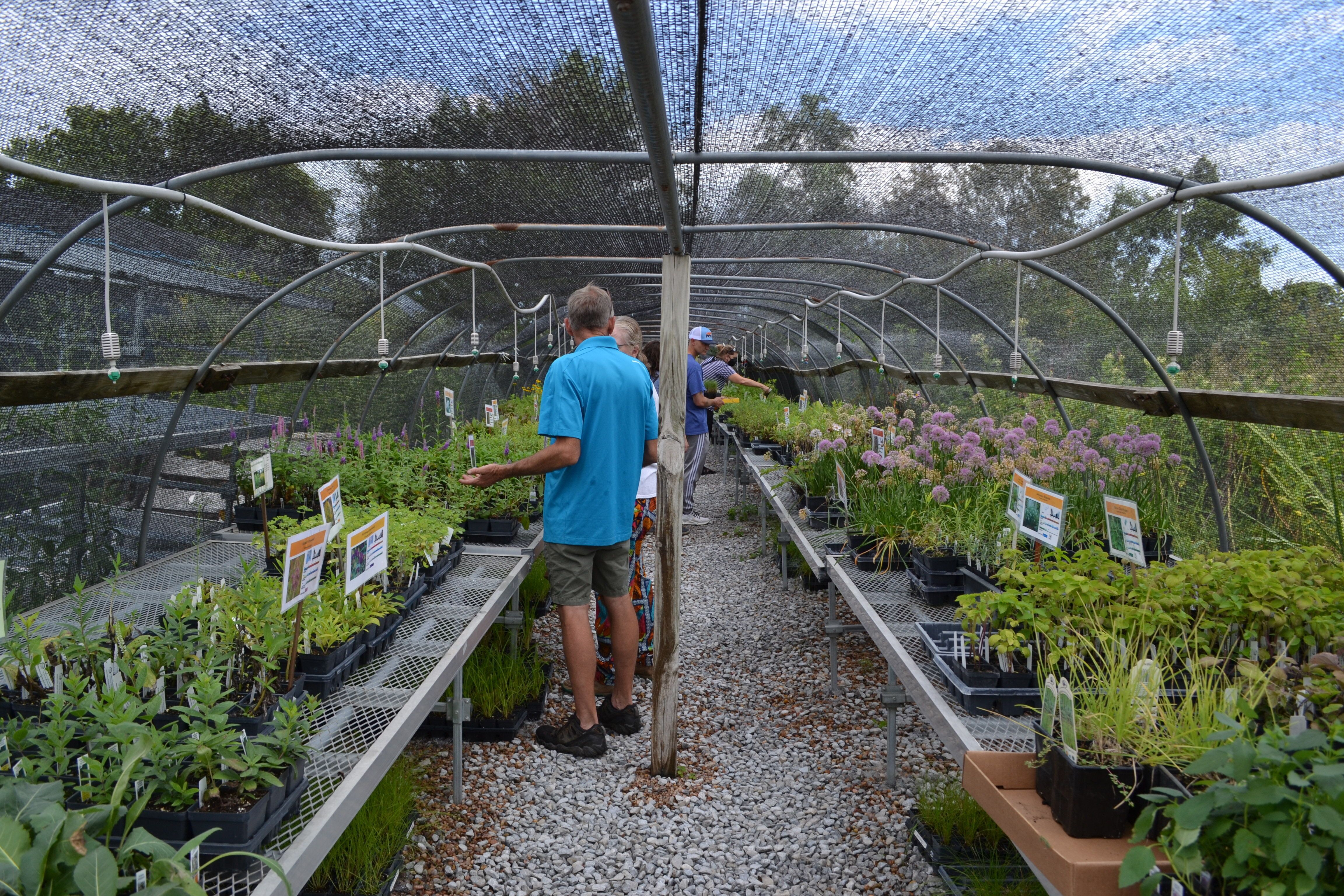 Horticulture Program Coordinator Bob Henrickson helps a customer shop at a Nebraska Statewide Arboretum Plant Sale. 