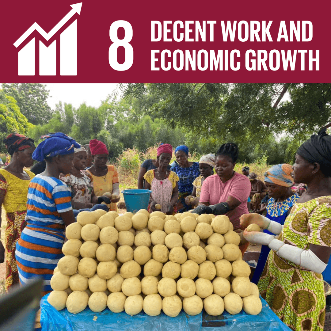 SDG #8:  Decent work and Economic Growth