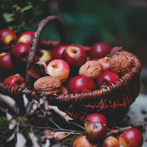 Seeds of Faith: Finding Hope in Creation’s Abundance