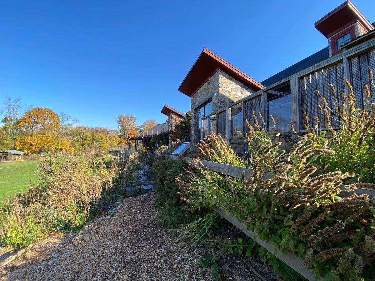 Watch Peregrine Falcon Cam Providence, RI Audubon Society of Rhode