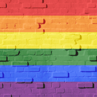 Serving LGBTQ Survivors of Domestic Violence: An Introduction to the LGBTQ IPV Network's Service Access Tool