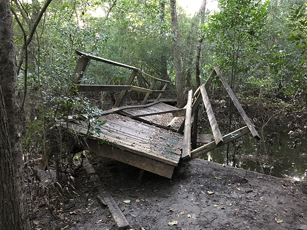 Edith Moore After Hurricane Harvey