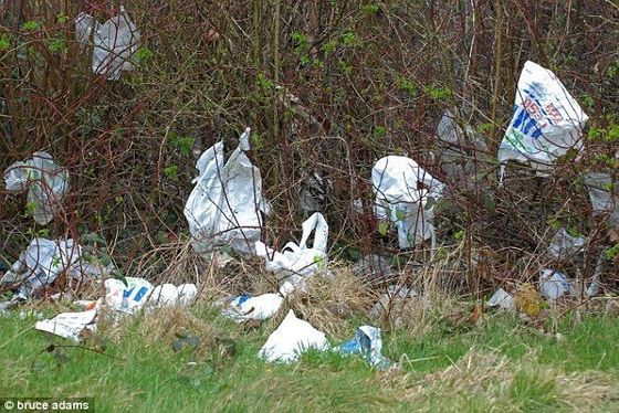 Plastic Bag Ordinances Proliferate Across Massachusetts