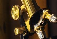 A close up picture of the middle of a brass microscope. 