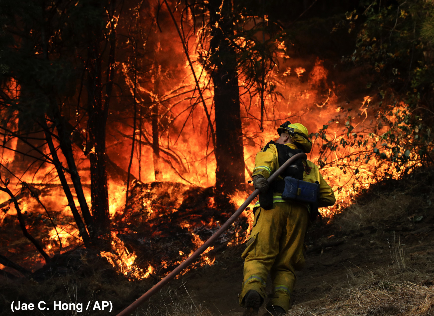 California Wildfires Illuminate Labor, Immigration, & Public Health Issues
