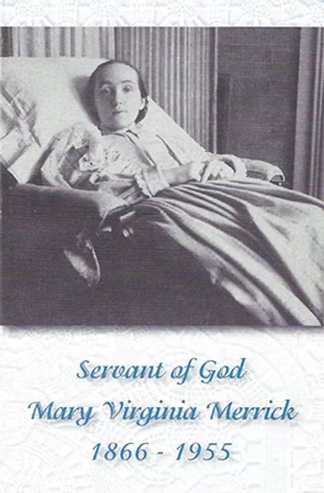 Canonization Prayer Cards, Folded (set of 100)