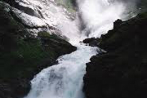 Judy's Leisure Tours