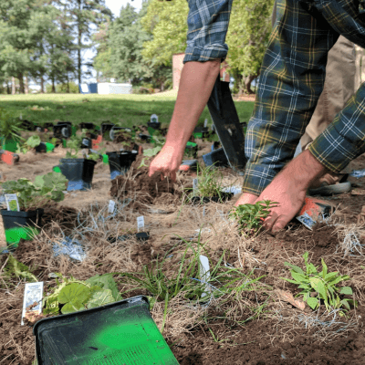 Nebraska Statewide Arboretum