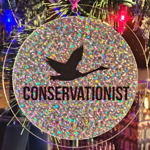 Ornament: Silver Glitter Conservationist