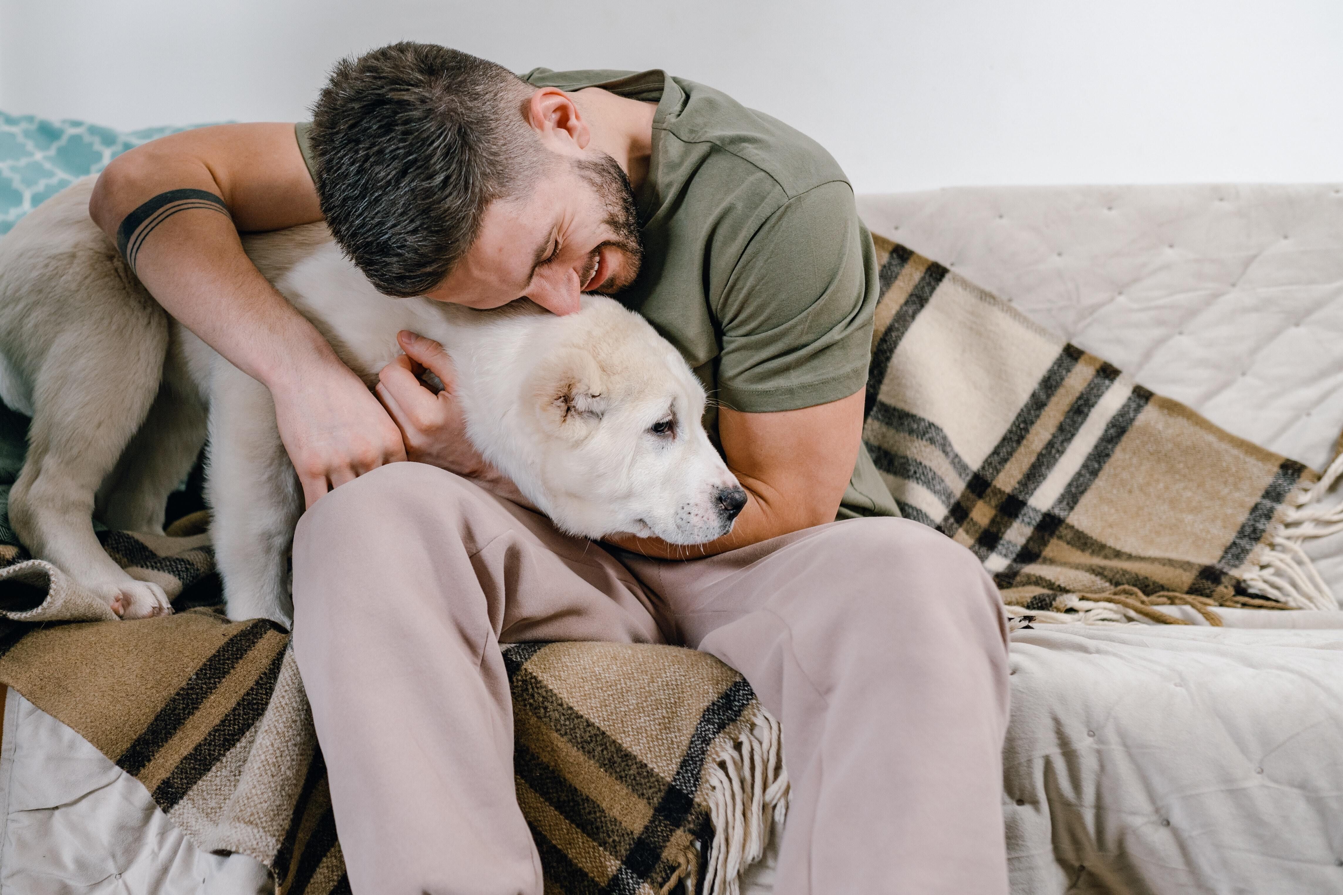 Dogs provide emotional support to people suffering from mental illnesses such as depression, anxiety, and PTSD. They offer unconditional love, comfort, and companionship.