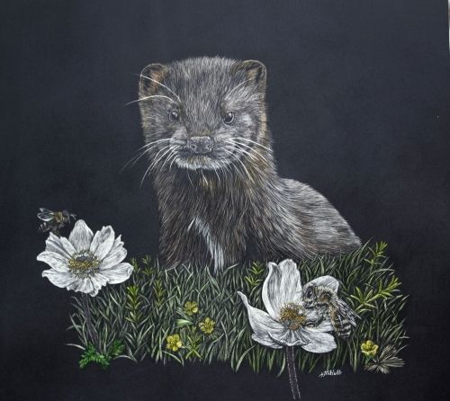 European Mink - European Honey Bee