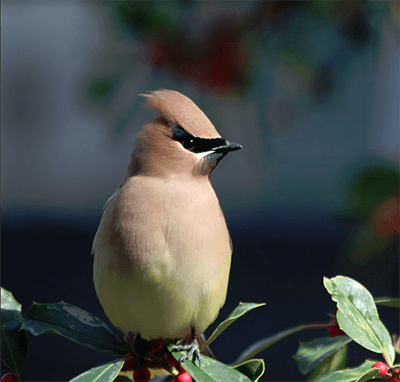 Flock Together Photo Contest Winners