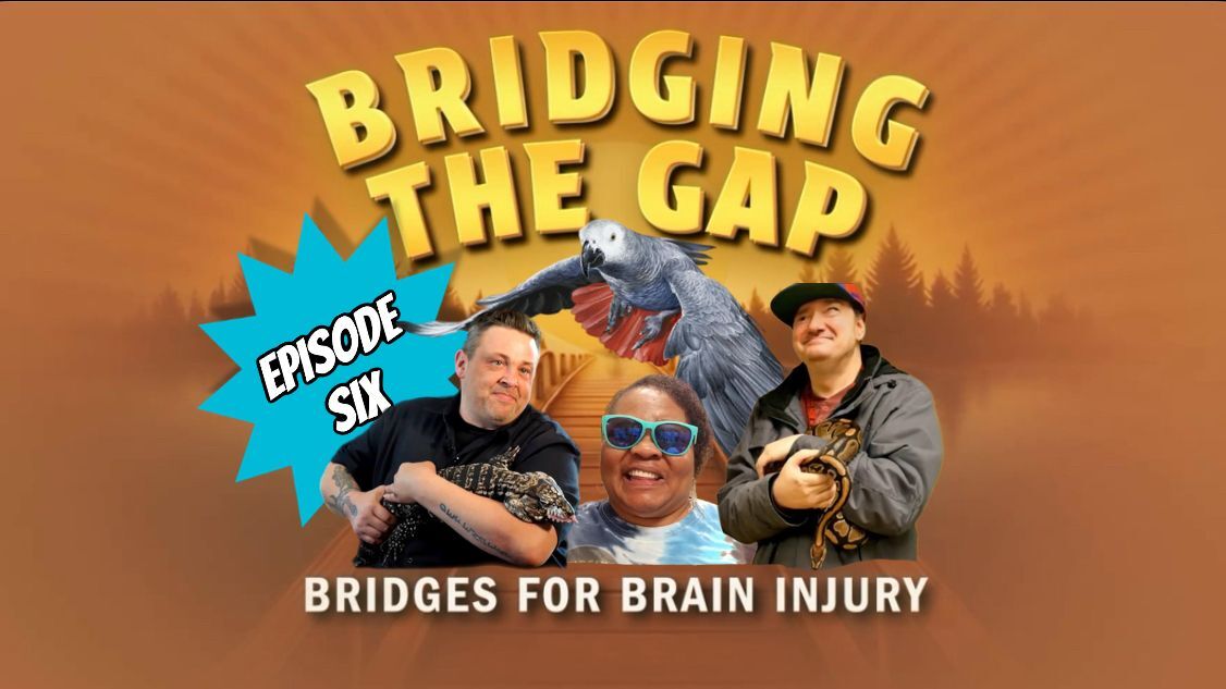 Bridging the Gap: Julie, Jason, and Chris (Part 2) (Episode 6 of Bridging the Gap)