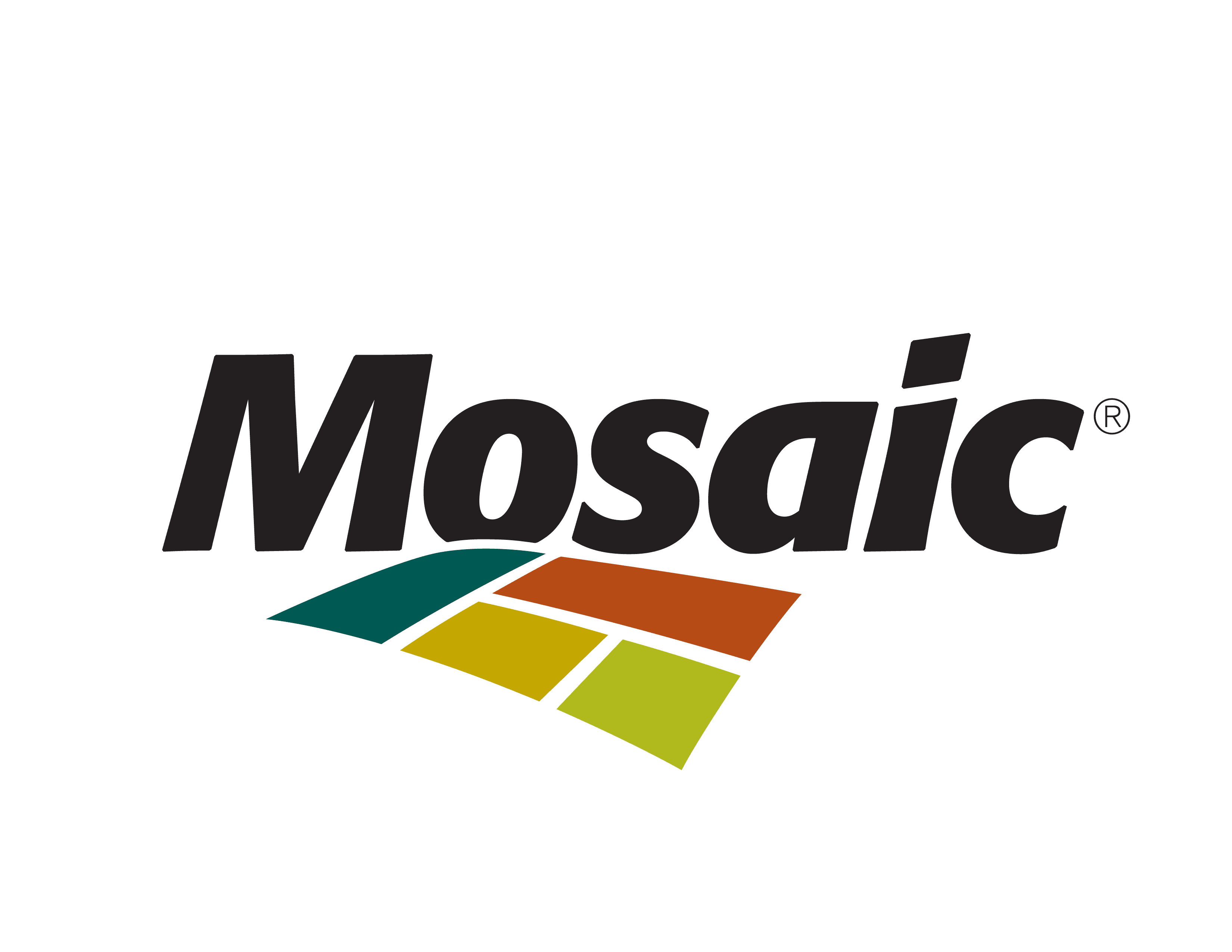 PRESENTING SPONSOR