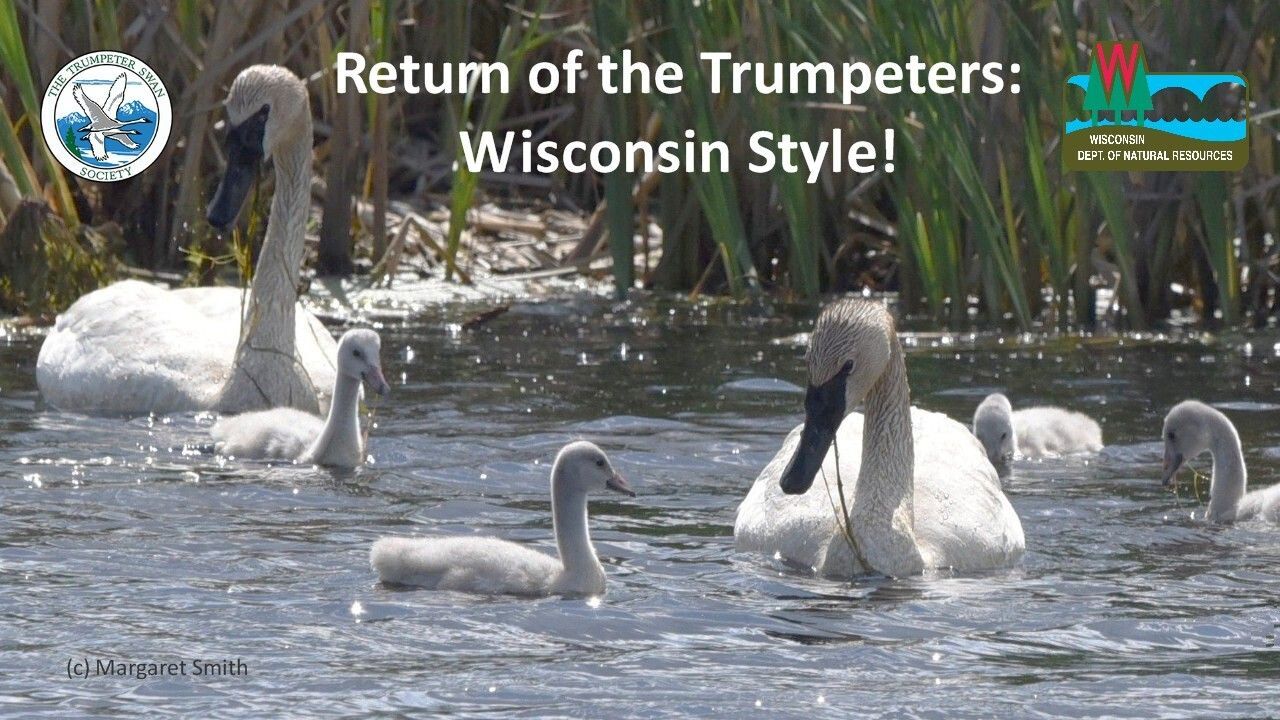 Webinar: Return of the Trumpeters: Wisconsin Style!
