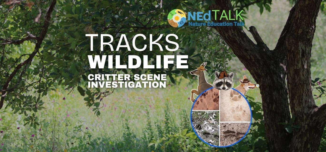 Nature Education Talk (Ned) Kerrville Texas