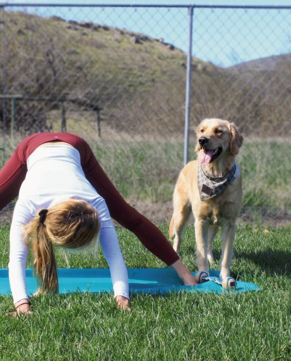 The Mind-Body Benefits of Yoga for Humans… and Yes, Dogs!